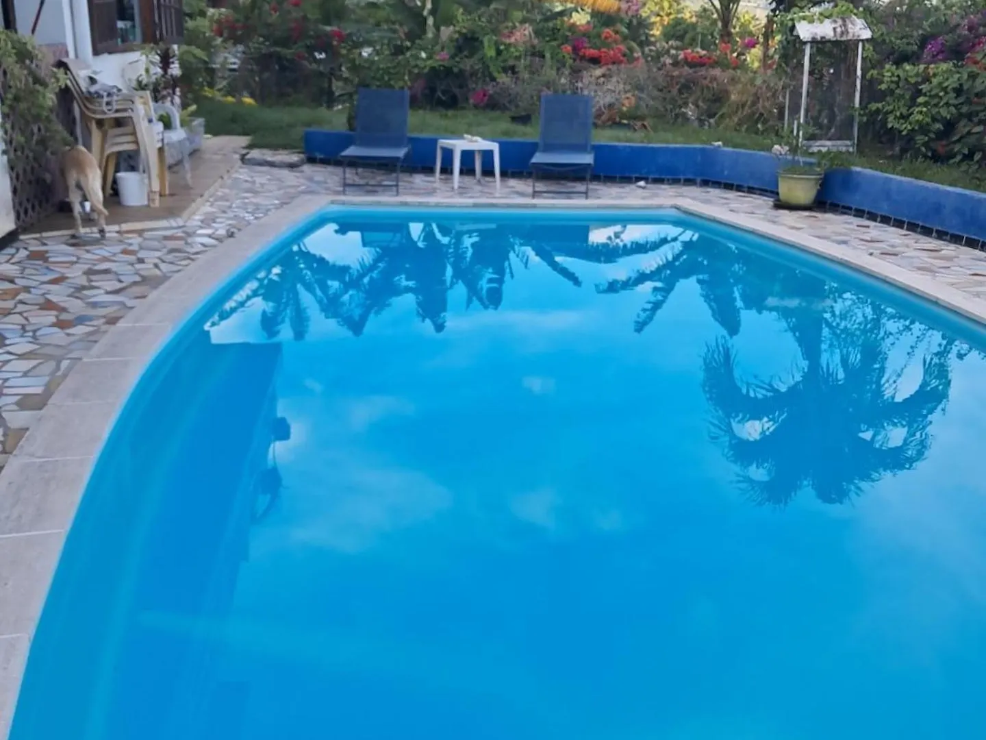 Villa Vaiana Eurl Vaiana Faratea contacts